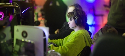 N&aring;r Danmark gamer (1:2): En nation foran sk&aelig;rmen